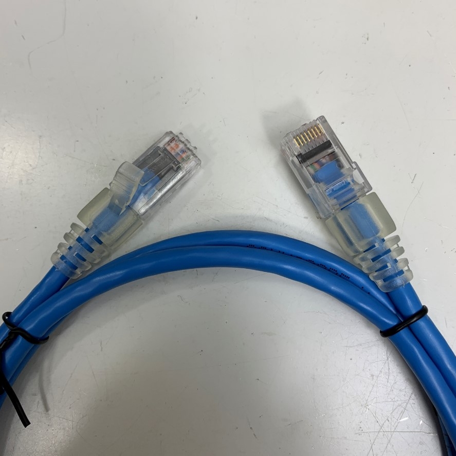 Dây Nhẩy COMMSCOPE CAT5E U/UTP PVC UL CM 1859239-1 Ethernet Gigabit Lan Network Patch Cord Straight Through Cable 24AWG OD Ø 5.5mm 75°C Blue Length 1.2M