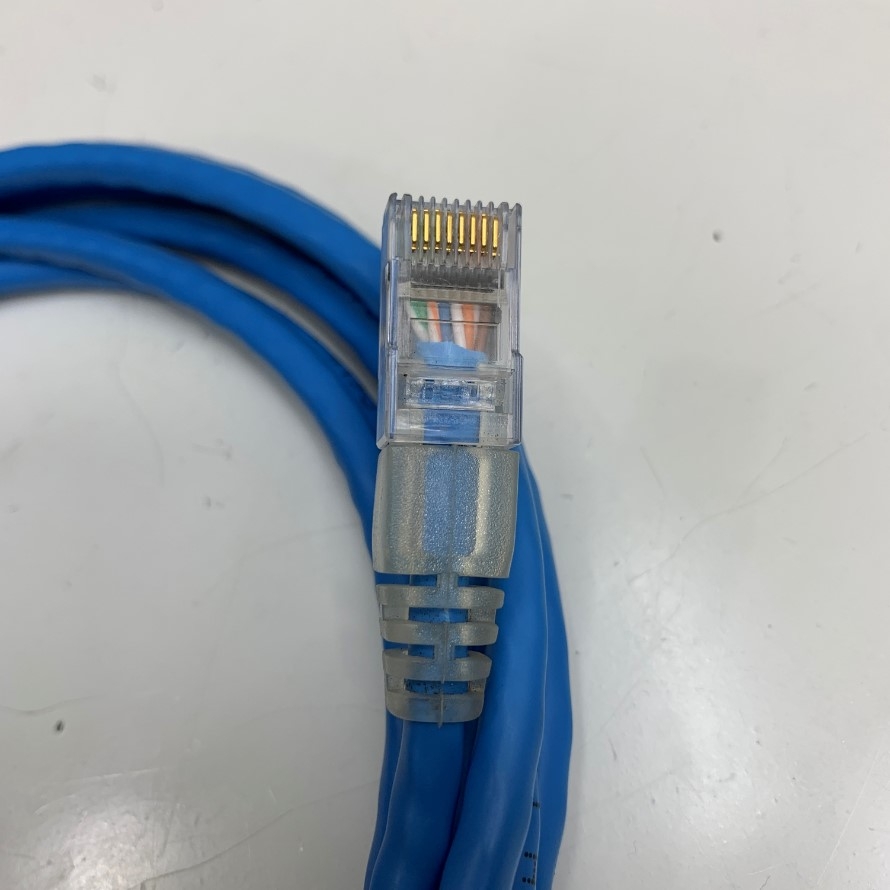 Dây Nhẩy AMP CAT5E U/UTP PVC UL CM 1-1859239-0 Ethernet Gigabit Lan Network Patch Cord Straight Through Cable E138034 24AWG OD Ø 5.5mm 75°C Blue Length 3M