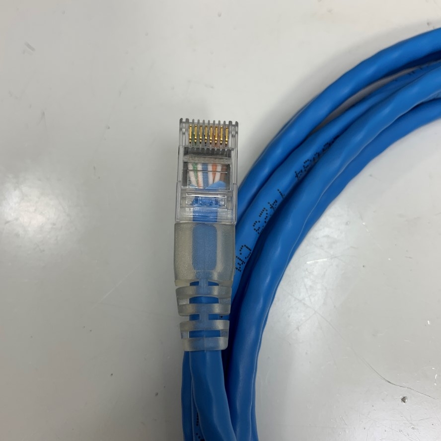 Dây Nhẩy AMP CAT5E U/UTP PVC UL CM 1-1859239-0 Ethernet Gigabit Lan Network Patch Cord Straight Through Cable E138034 24AWG OD Ø 5.5mm 75°C Blue Length 3M