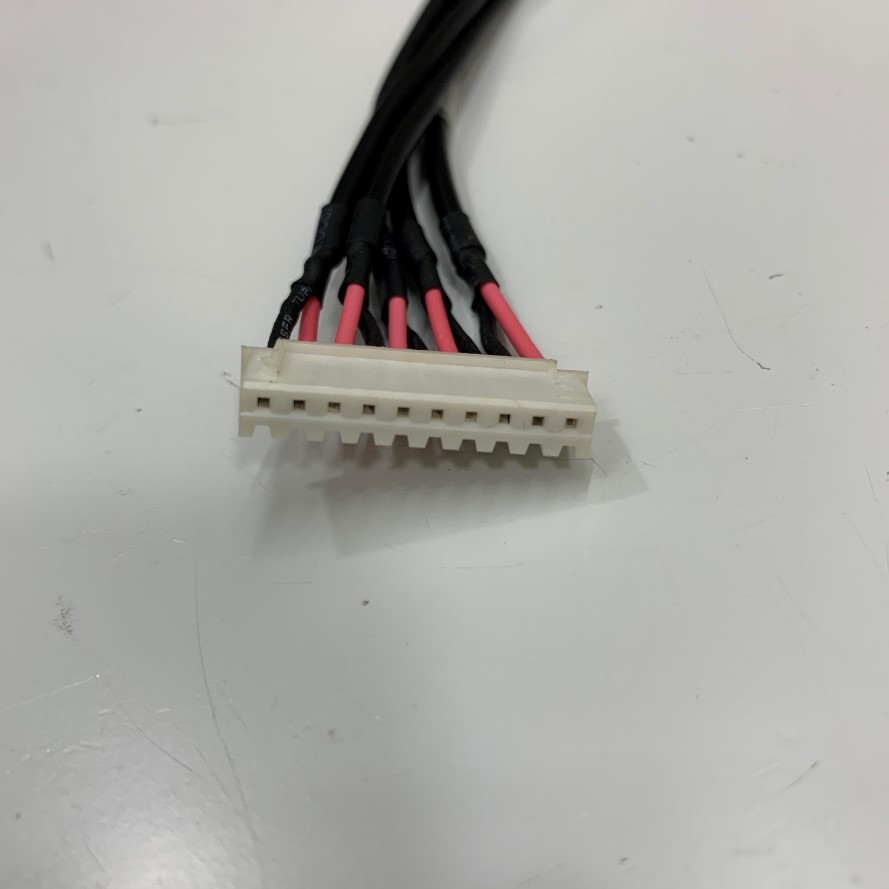 Cáp 10 Pin Molex Jumper 10 Wire 2.54mm Pitch Dài 0.25M