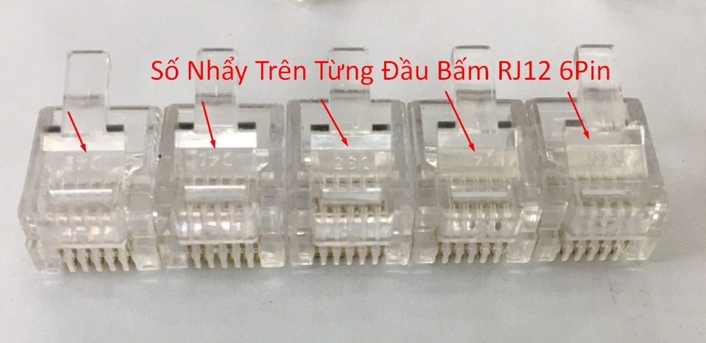 Đầu Bấm RJ12 6Pin Connector 6P6C Modular Cable Head Plug Gold Plated 50pcs/Lot