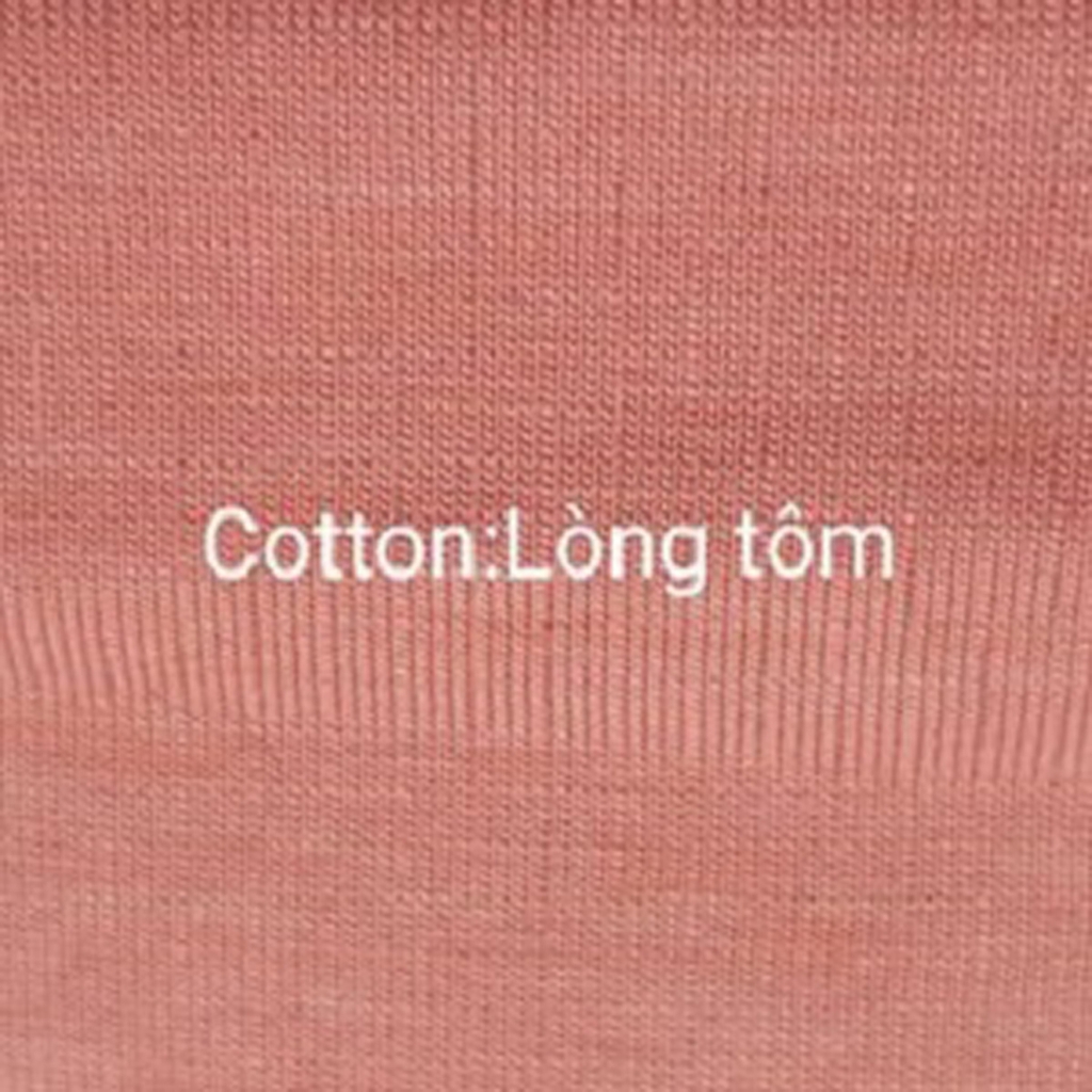 Cotton Lòng tôm