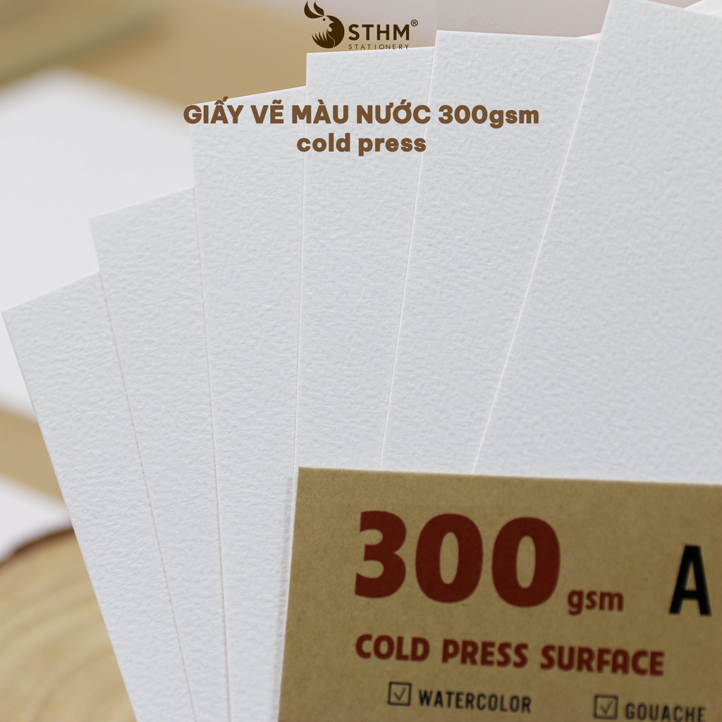 Xấp 10 tờ CANSON 300gsm