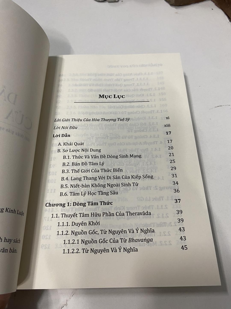 DẪN VÀO CỬA DUY THỨC - Giới Thiệu Giáo Nghĩa Duy Thức Dựa Trên Nền Tảng Kinh Luận - Thích Thanh Hòa