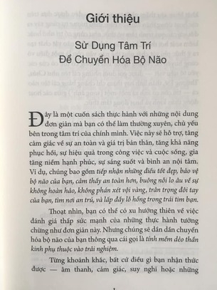 Tích Tiểu Thành Đại - Nuôi dưỡng bộ não phật qua 52 thực hành đơn giản (Rick Hanson)