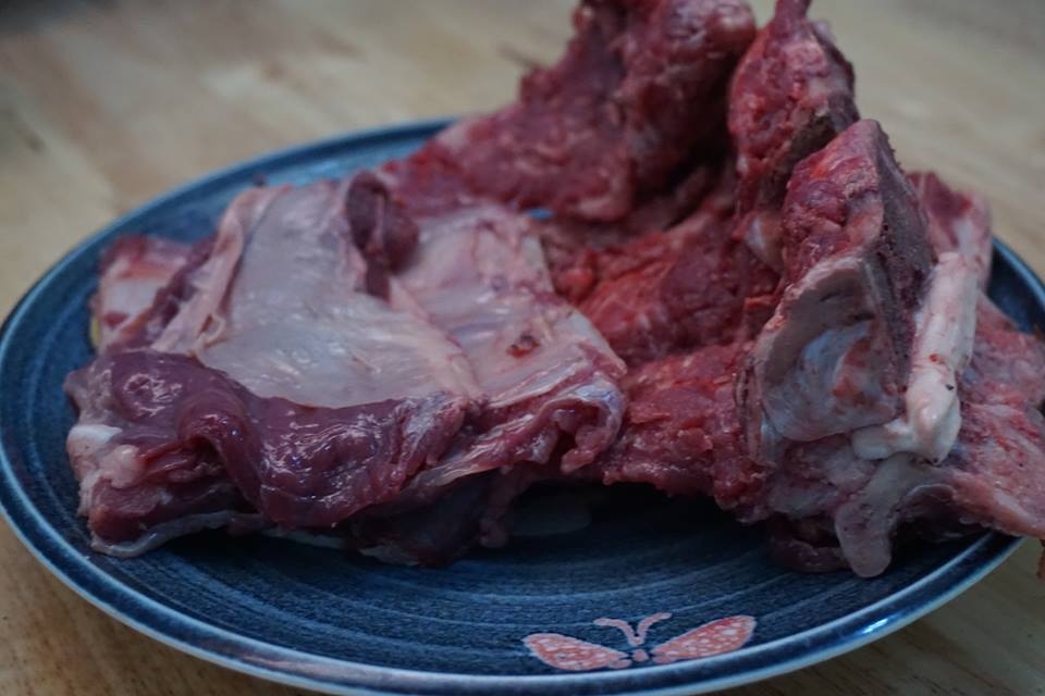 Kết quả hình ảnh cho xương bò