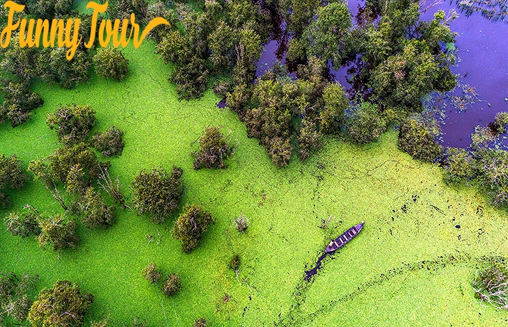 TOUR LÀNG NỔI TÂN LẬP PHƯỚC LỘC THỌ TRÀM CHIM ĐỒNG THÁP