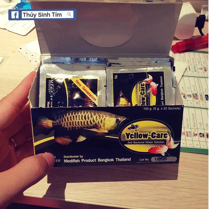 Thuốc Yellow Care