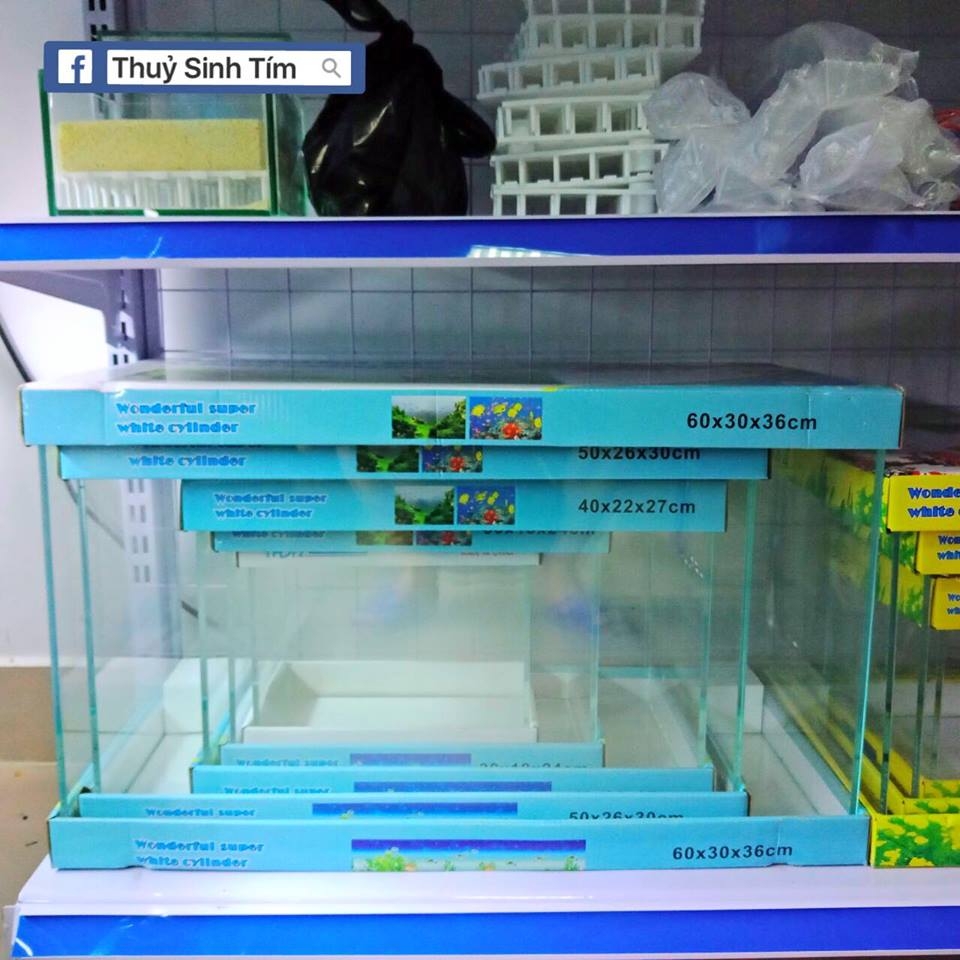 Bể siêu trong 5 ly 60x30x35