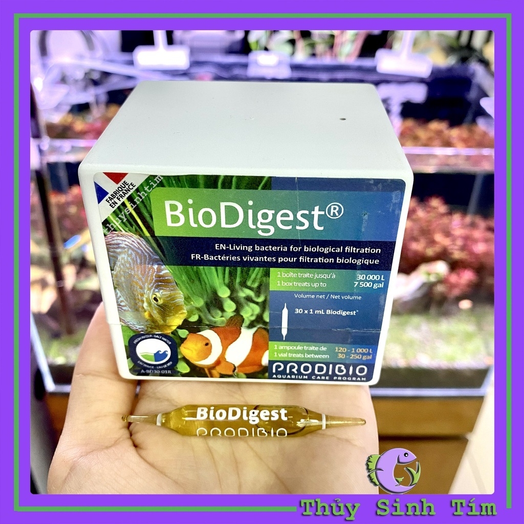Vi Sinh Sống BioDigest Prodibio | Thủy Sinh Tím
