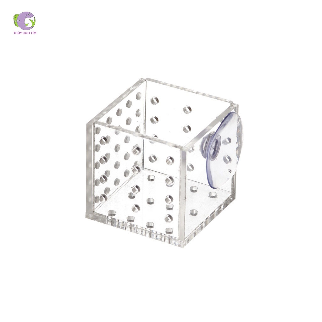 Cốc Trồng Cây Mica Đa Năng - Vuông-1