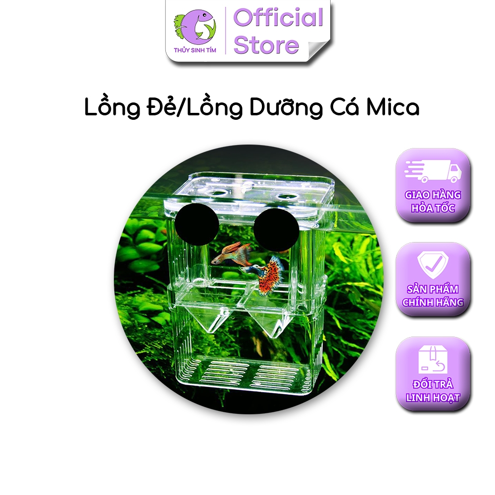 Lồng Đẻ Mica (Size L) - 3