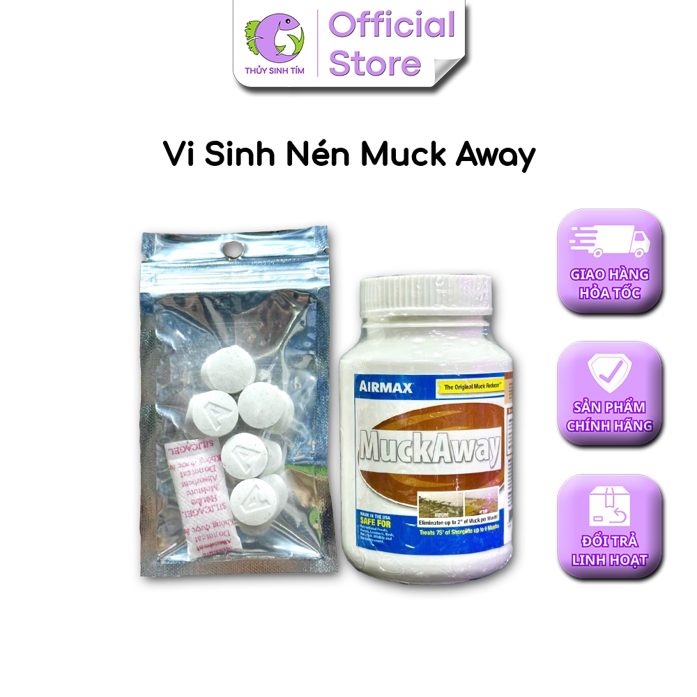 Vi Sinh Viên Nén MuckAway - 4