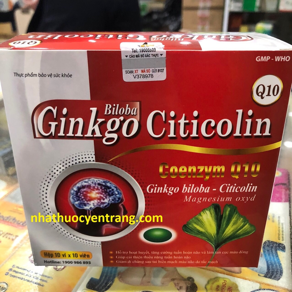 Ginkgo Biloba Citicolin Q10 nhathuocyentrang