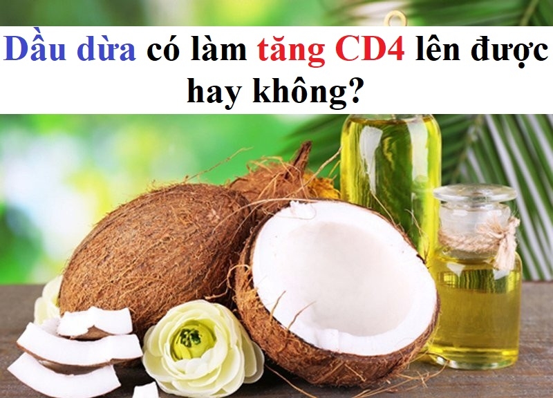 Dầu dừa có tăng CD4 được không?