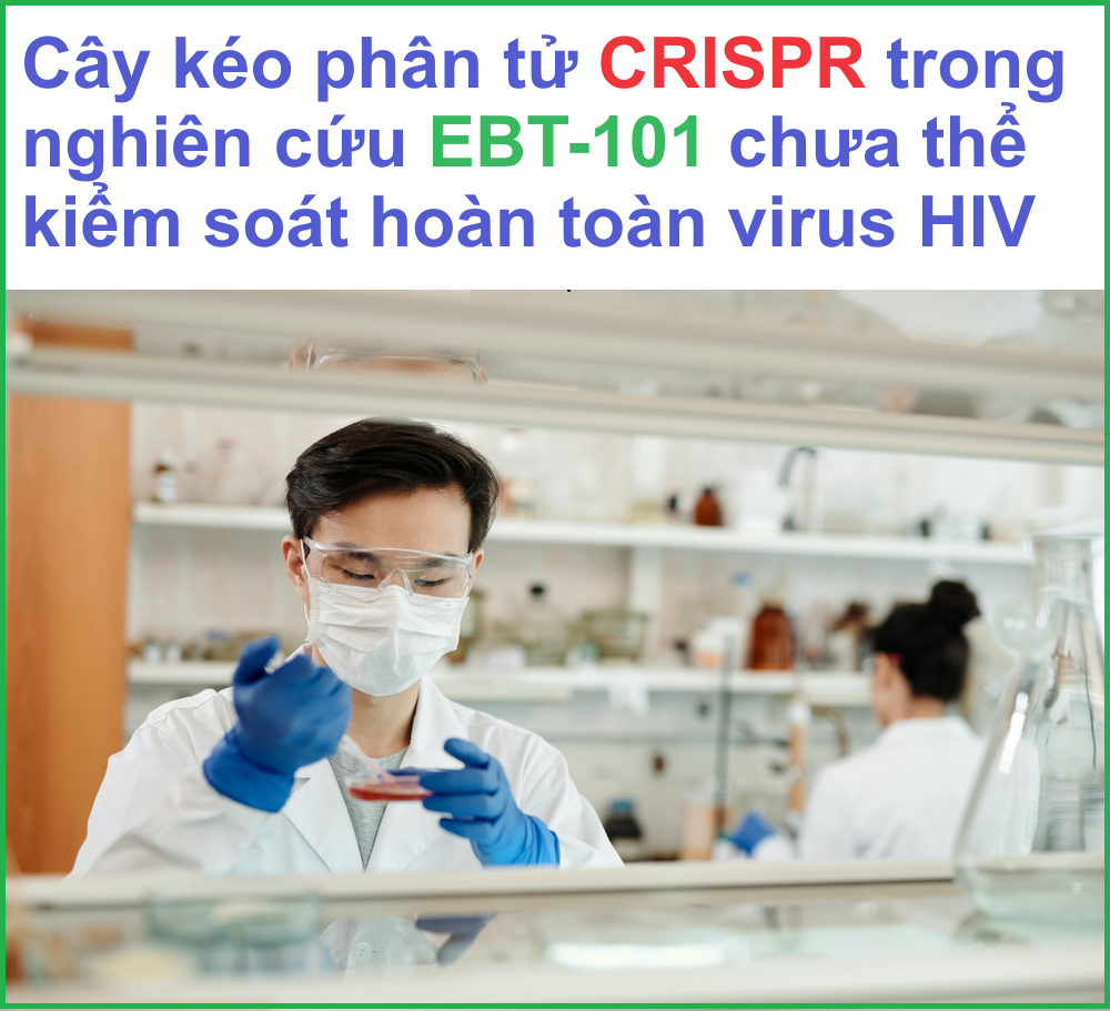 Nghiên cứu EBT-101 với cây kéo phân tử CRISPR không thể kiểm soát hoàn toàn virus HIV