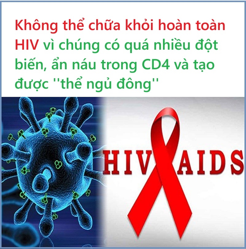 3 lý do khiến cho HIV không thể được chữa khỏi hoàn toàn là gì?
