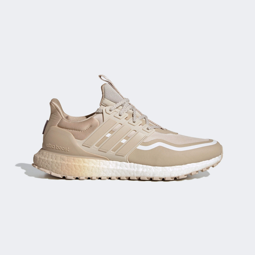 ultraboost all terr