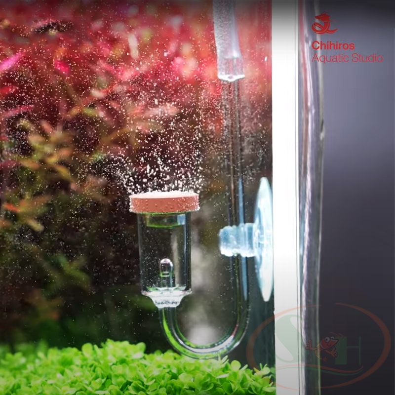 Đầu sủi co2 Chihiros Nano Diffuser khuếch tán bọt mịn - Shrimp Home