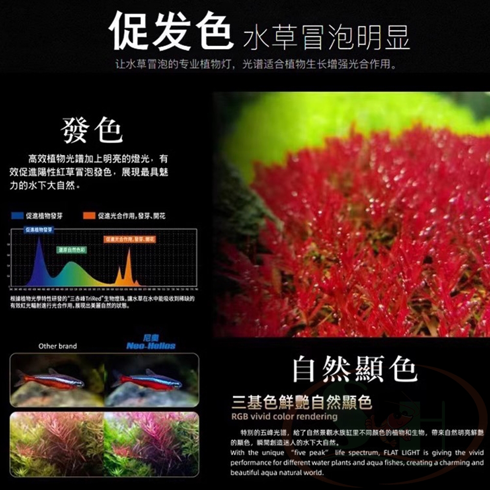 Đèn led Neo Helios Flat Solar XP series RGB bể cá tép - Shrimp Home