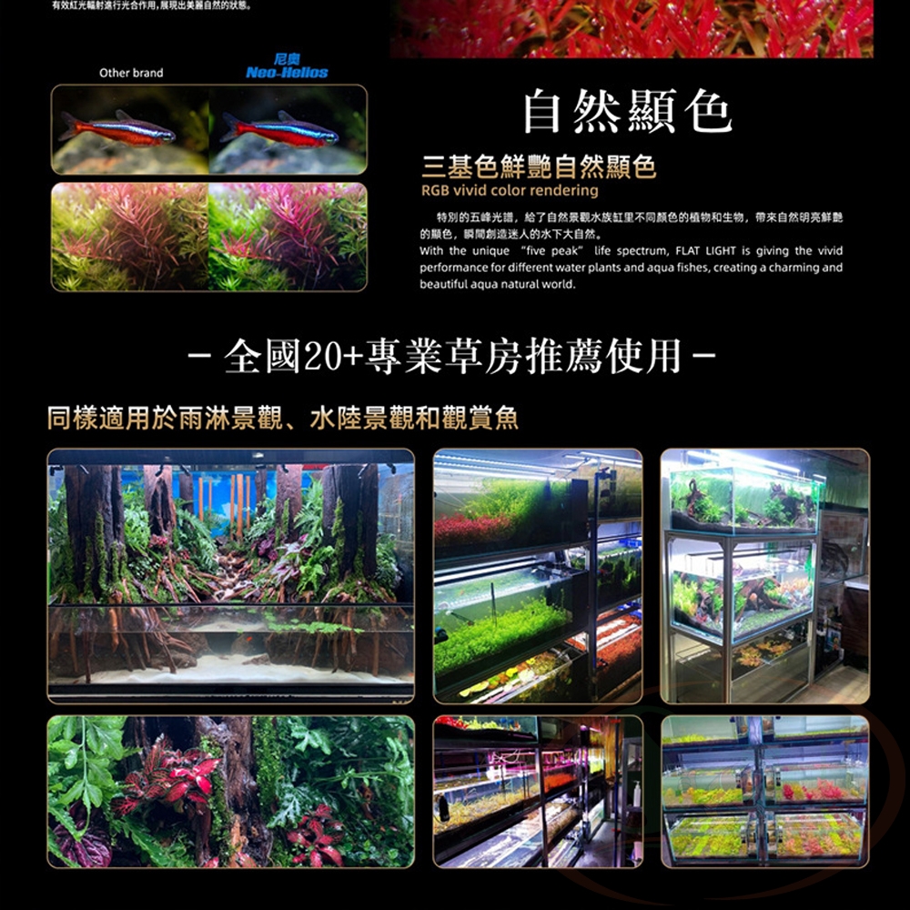 Đèn led Neo Helios Flat Solar XP series RGB bể cá tép - Shrimp Home
