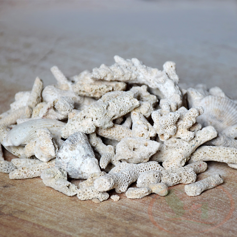 San hô KaoKui Reef Bones vật liệu lọc tăng pH nước - Shrimp Home