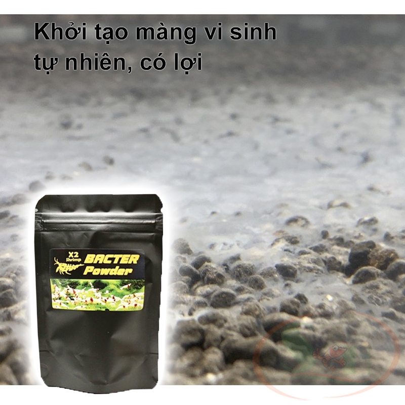 Vi sinh bột X2 Shrimp Bacter Powder enzyme trải nền - Shrimp Home