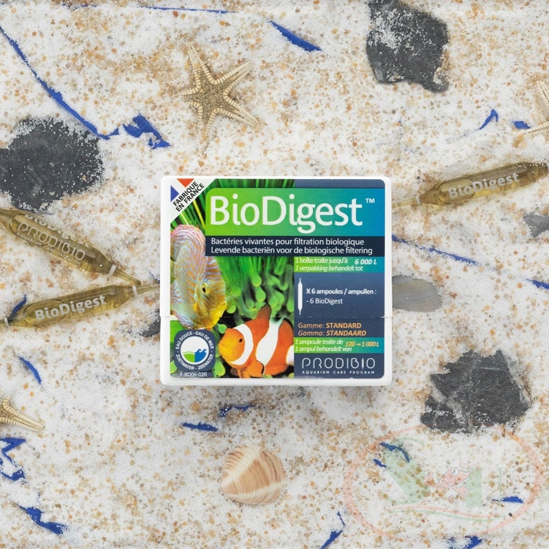 Vi sinh sống Prodibio BioDigest cao cấp xử lý nước bể cá - Shrimp Home
