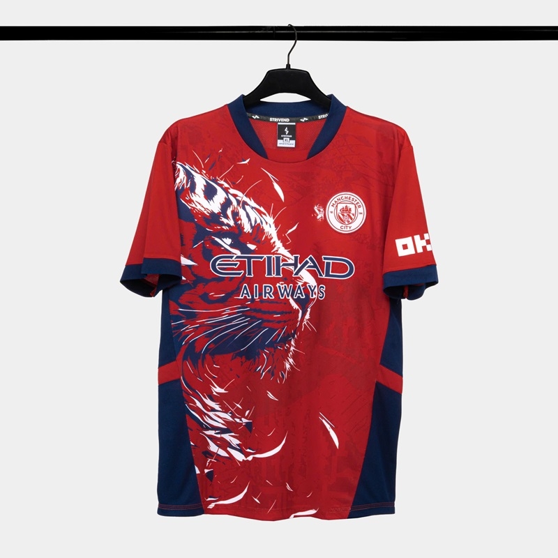 Quần áo bóng đá Strivend Man city 2024/25 [thun mè Poly]
