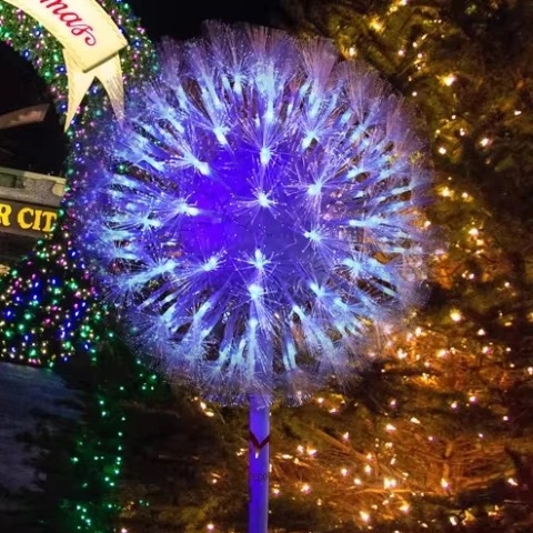 Đèn LED Hoa Bồ Công Anh Dandelion Sợi Quang Nhỏ D30cm-100cm | Báo Giá