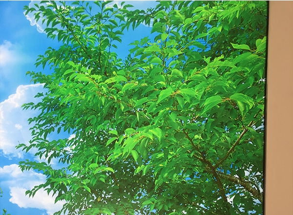 trần xuyên sáng