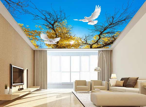 Trần xuyên sáng giá rẻ