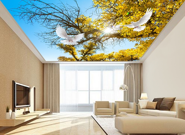 Trần xuyên sáng giá rẻ