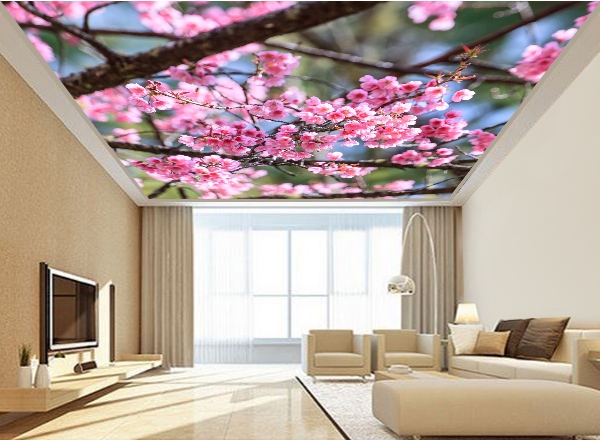 Trần xuyên sáng giá rẻ