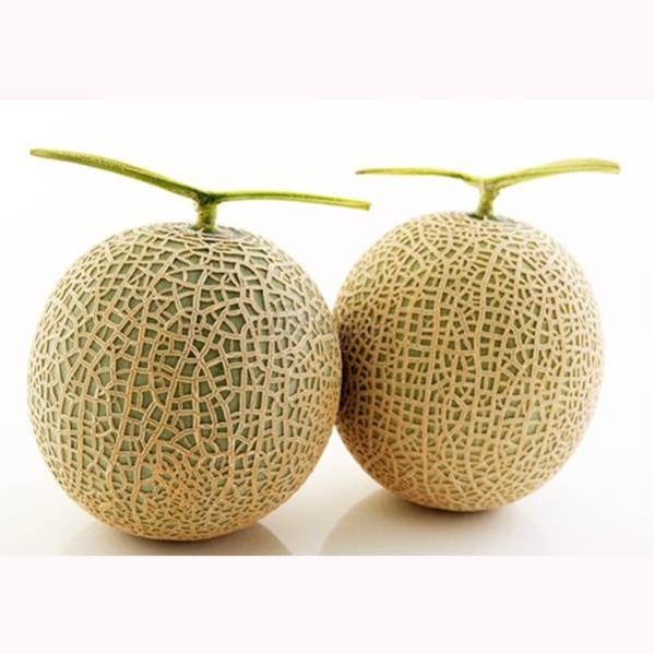 Dưa lưới nhập khẩu Thái Lan