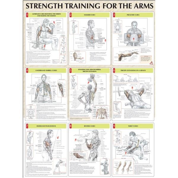 The Strength Training Anatomy Workout