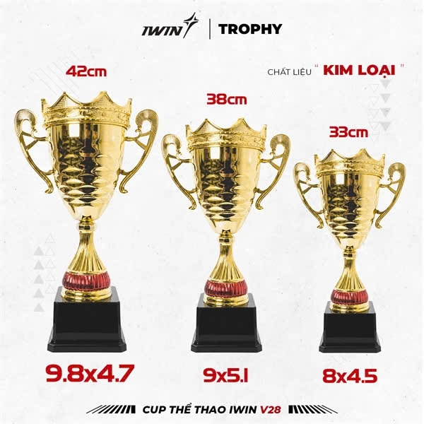 Cup Iwin V28
