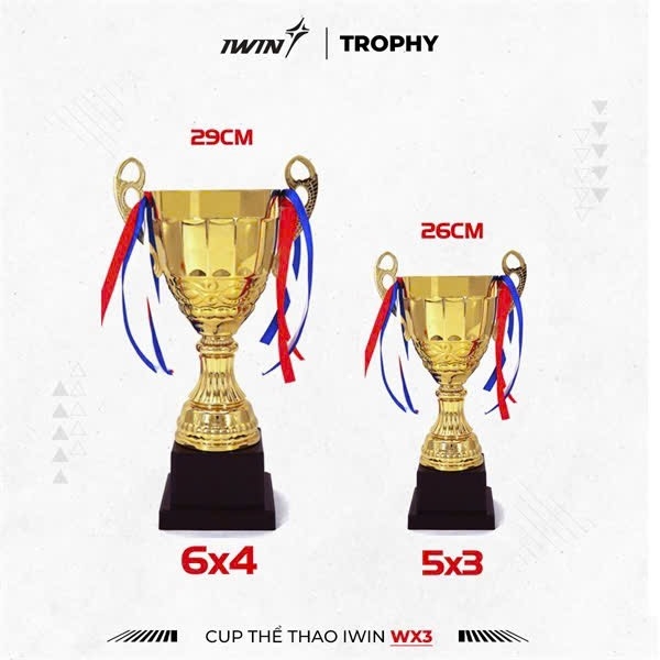 CUP THỂ THAO IWIN WX3