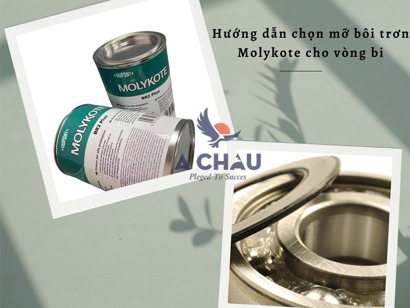 Hướng dẫn chọn mỡ bôi trơn Molykote cho vòng bi: Các yếu tố cần xem xét