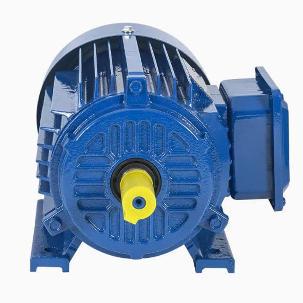 Động cơ máy nén khí trục vít IP54 / IP55