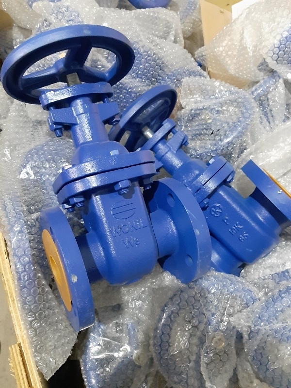 van cổng ty chìm gang Wonil Hàn quốc