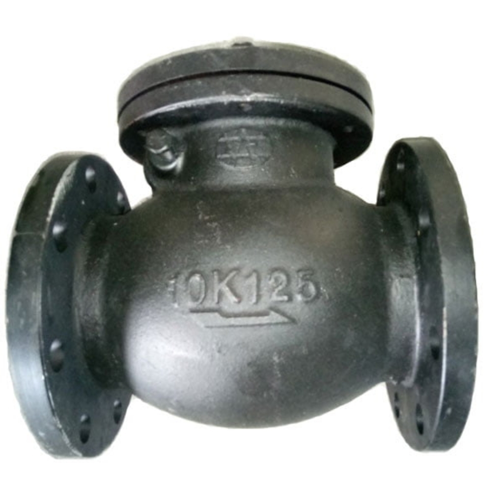 Van 1 chiều lá lật gang (Swing check valve) WSC-10 Wonil