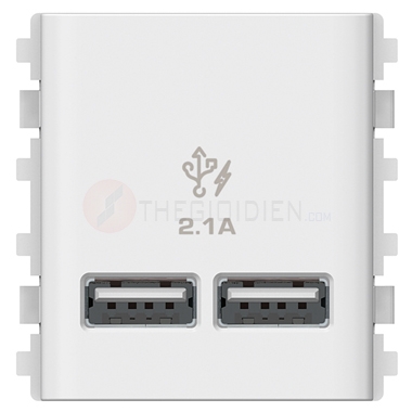 Ổ cắm sạc USB 2.1A đôi màu trắng Concept - Schneider (3032USB_WE)