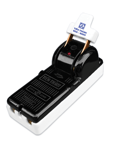 Cầu dao 2P 60A 600V Tiến Thành