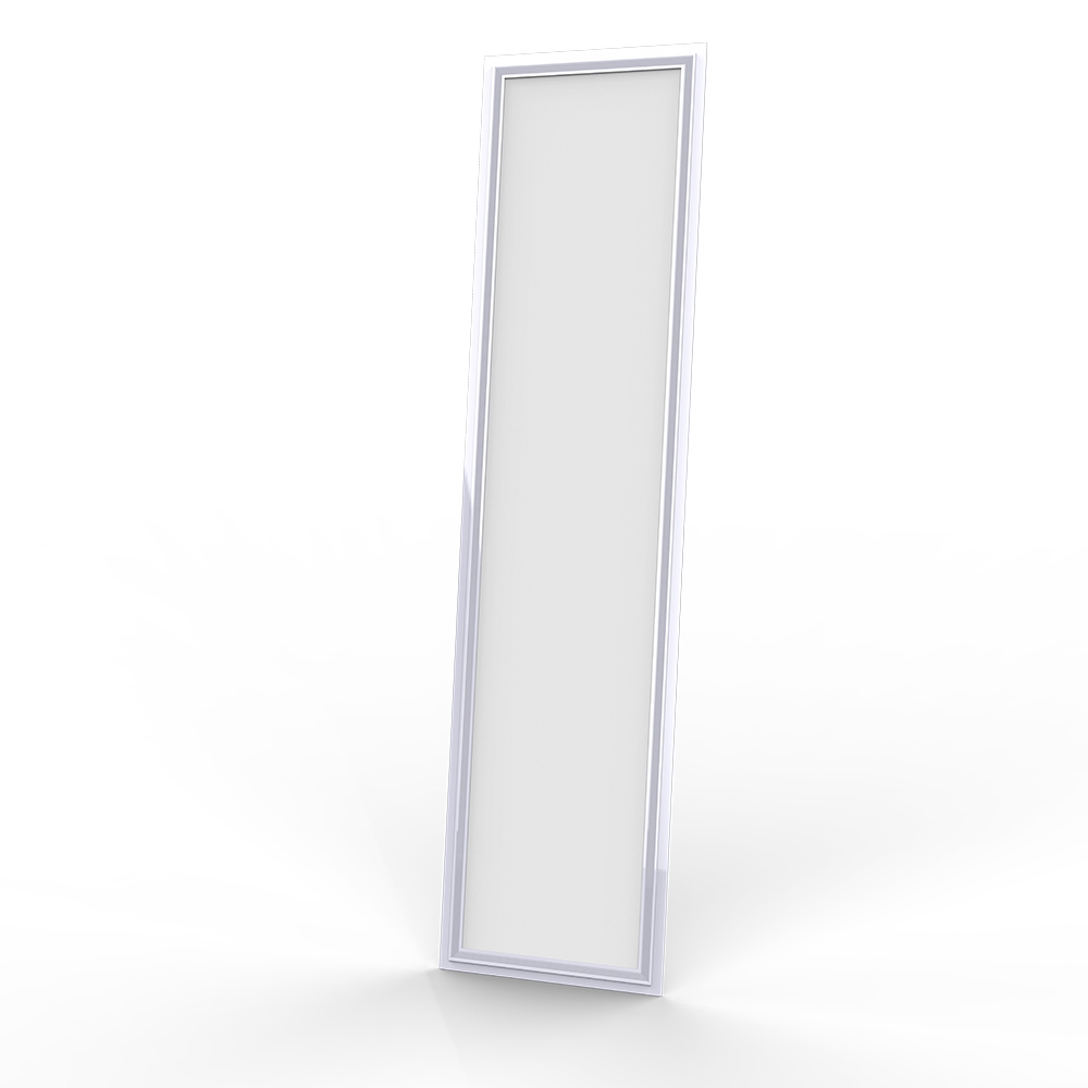 Đèn LED Panel khổ lớn P08 300x1200 40W Rạng Đông