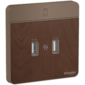 Bộ ổ sạc USB đôi 2.1A màu gỗ AvatarOn - Schneider (E8332USB_WD_G19)