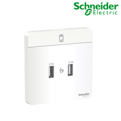 Bộ ổ sạc USB đôi 2.1A màu trắng AvatarOn - Schneider (E8332USB_WE_G19)