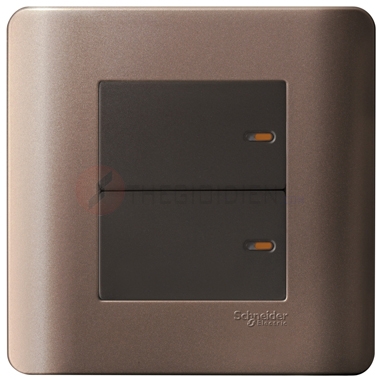 Bộ công tắc đôi 1 chiều 16A màu đồng Zencelo - Schneider (E8432_1_SZ_G19)