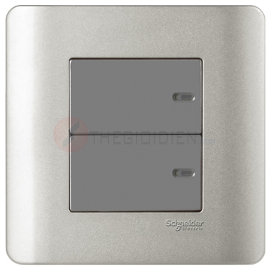 Bộ công tắc đôi 2 chiều 16A màu xám Zencelo - Schneider (E8432_2_SA_G19)