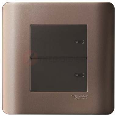 Bộ công tắc đôi 2 chiều 16A màu đồng Zencelo - Schneider (E8432_2_SZ_G19)